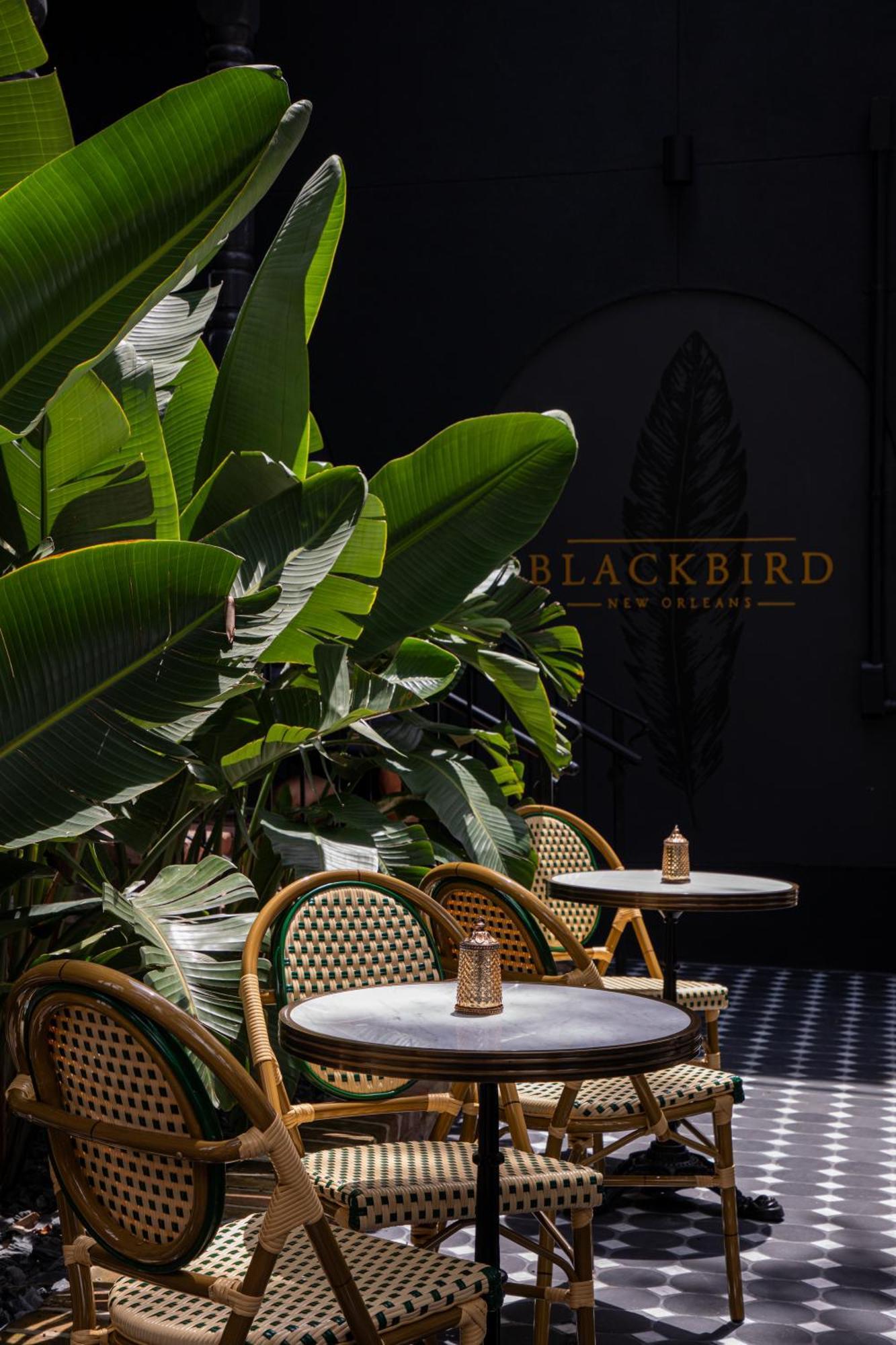 Blackbird Hotel New Orleans Exterior photo
