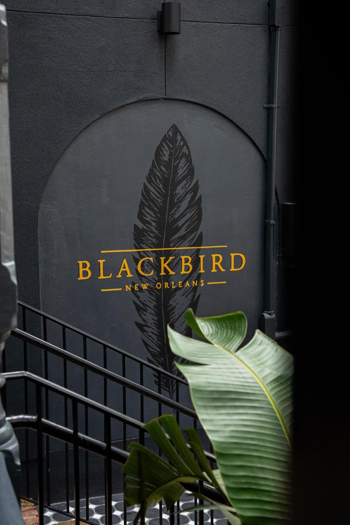 Blackbird Hotel New Orleans Exterior photo