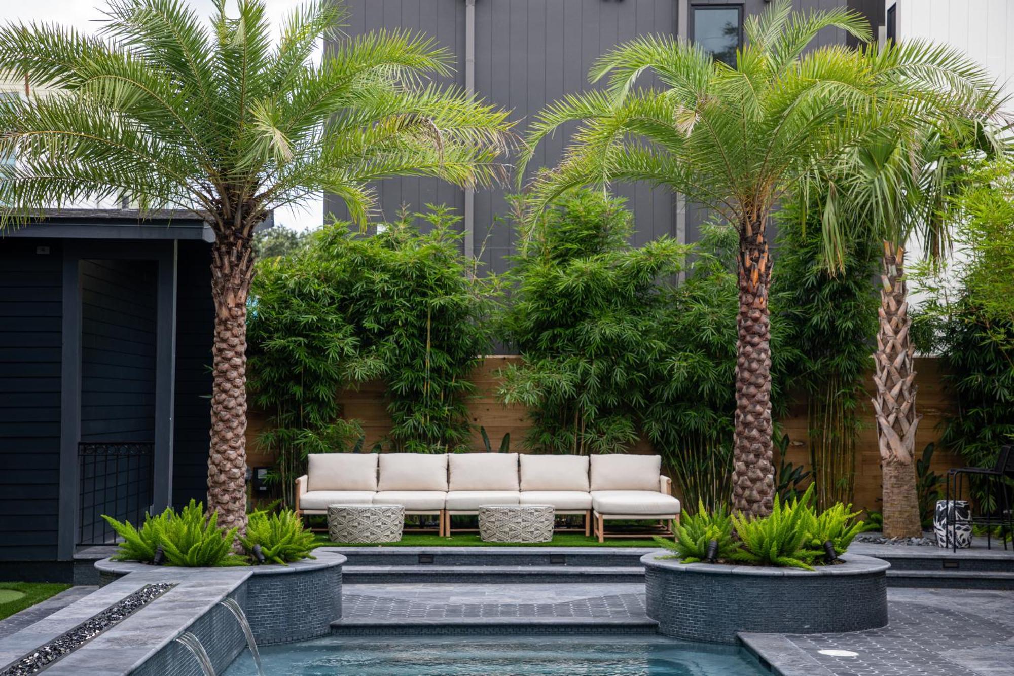 Blackbird Hotel New Orleans Exterior photo