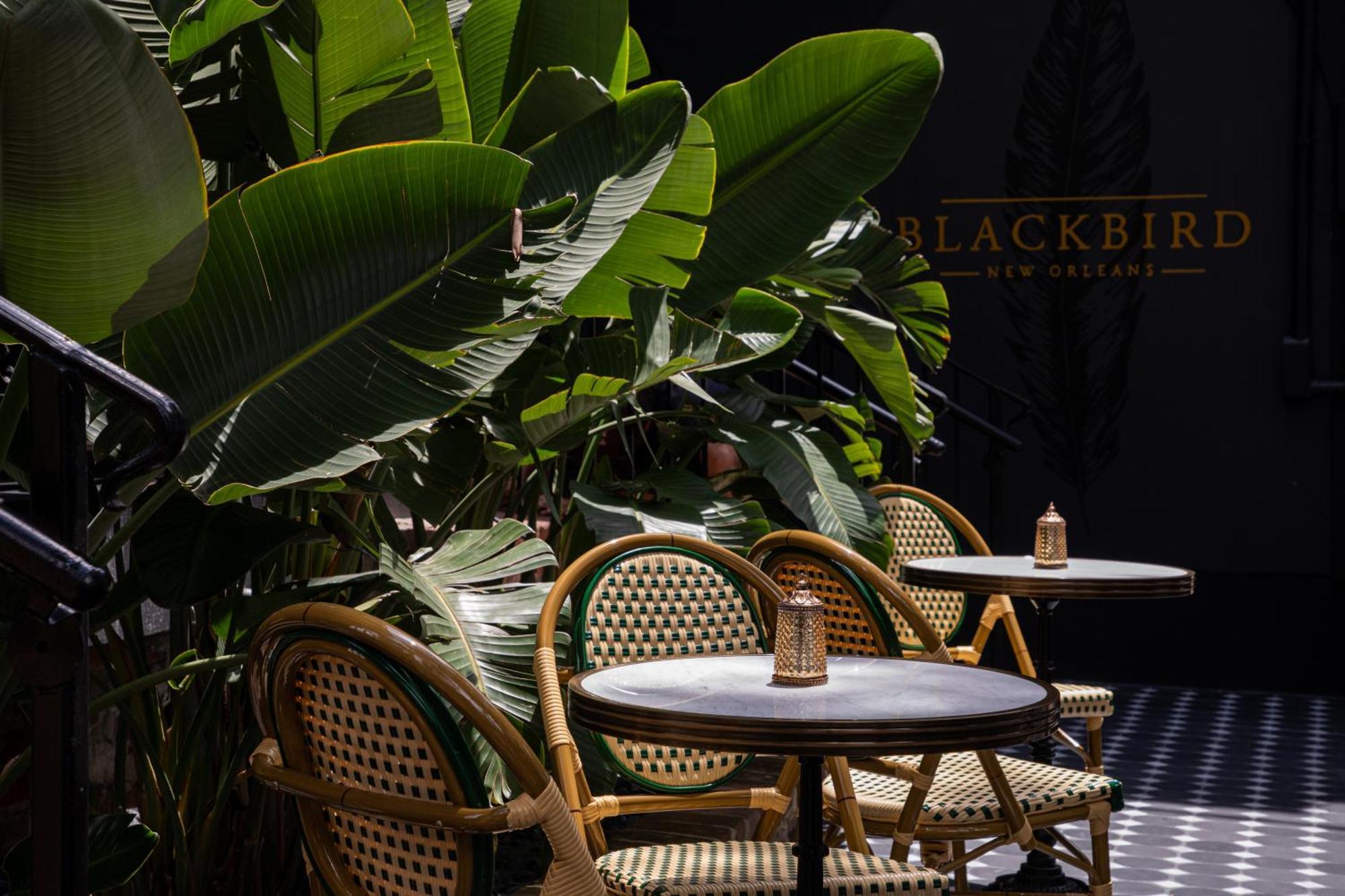 Blackbird Hotel New Orleans Exterior photo
